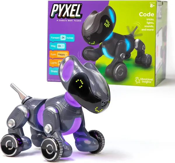 Educational Insights Pyxel