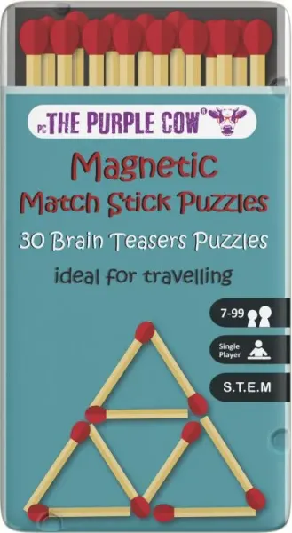 Matchstick Puzzles travel game